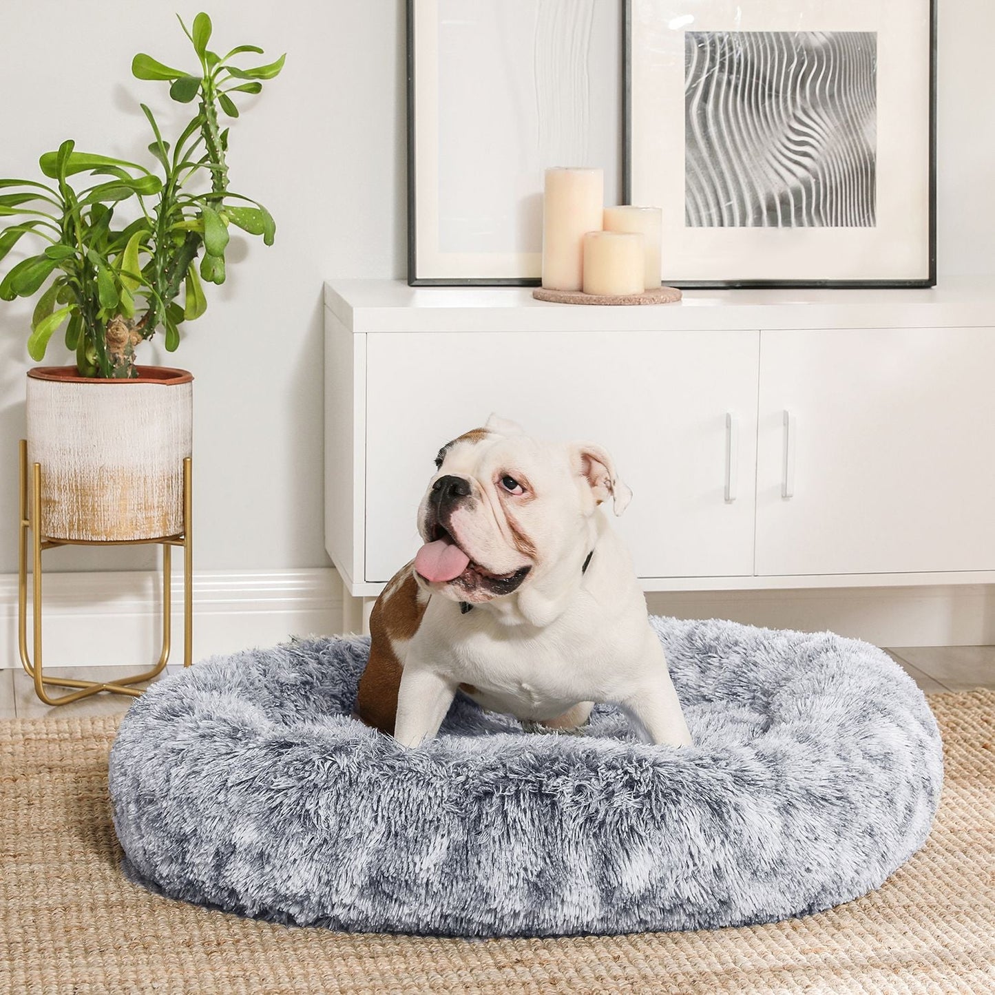 Letto per cani, Lettino per cani, Cuscino per Cani, Peluche Lungo, Diametro di 80 cm, Imbottitura Morbida, Feandrea, 1