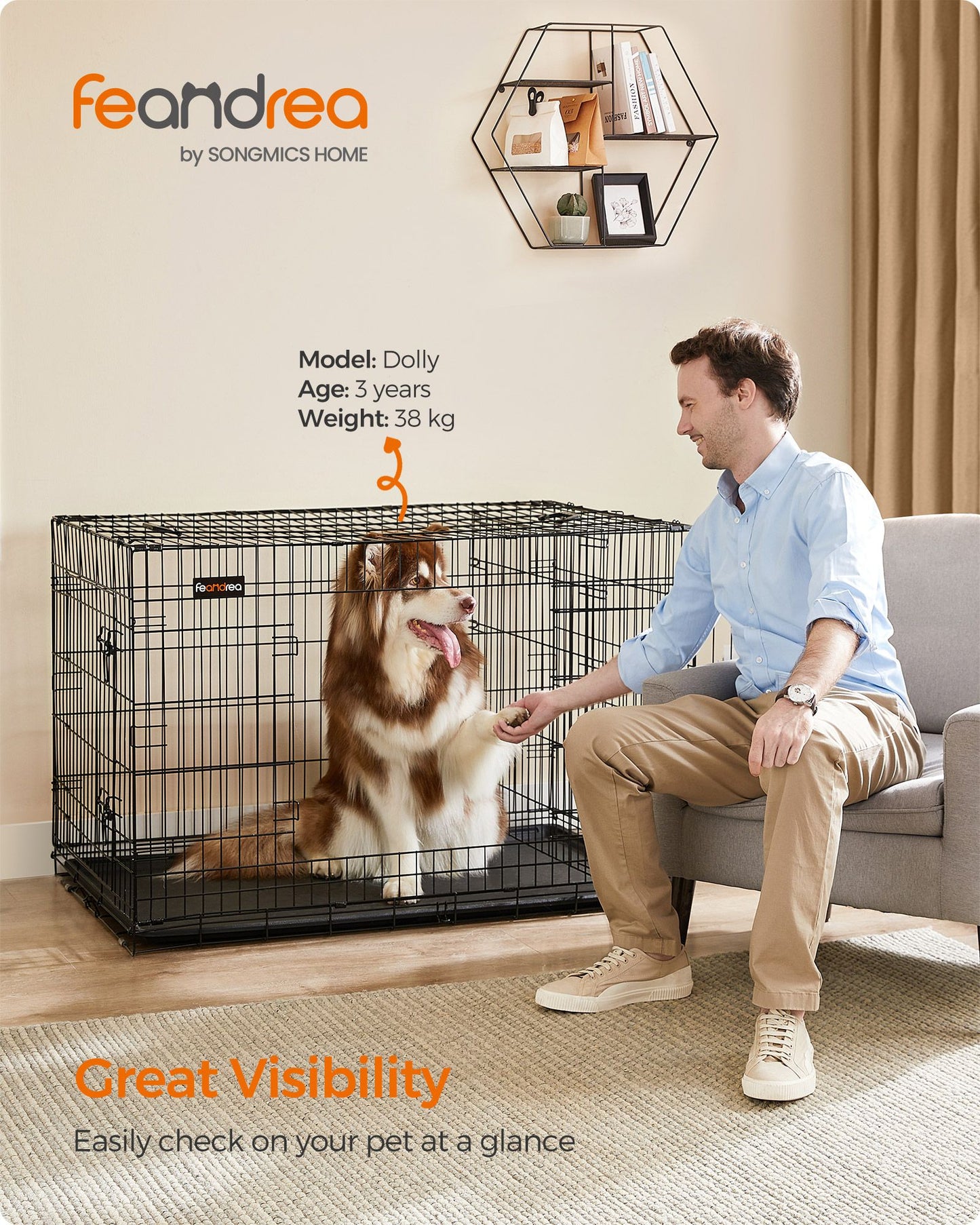 Gabbia per Cani, Gabbie per Cani da interno, Gabbia Metallica Pieghevole per Cani con 2 Porte, Nero, Feandrea, 3