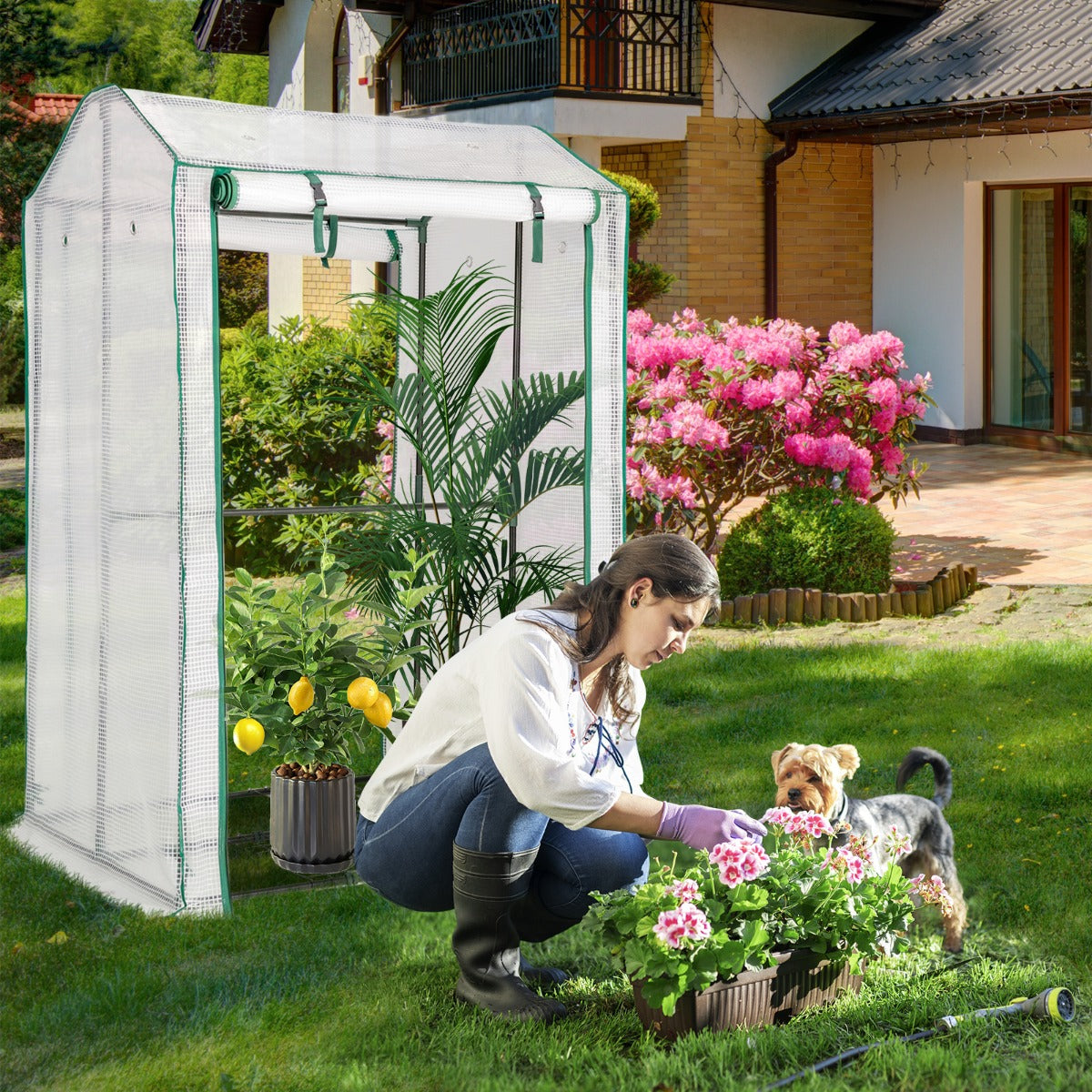 Serra da giardino, accessibile con struttura in acciaio, Serra con 2 porte a cerniera copertura in PE, Bianco, Costway, 4