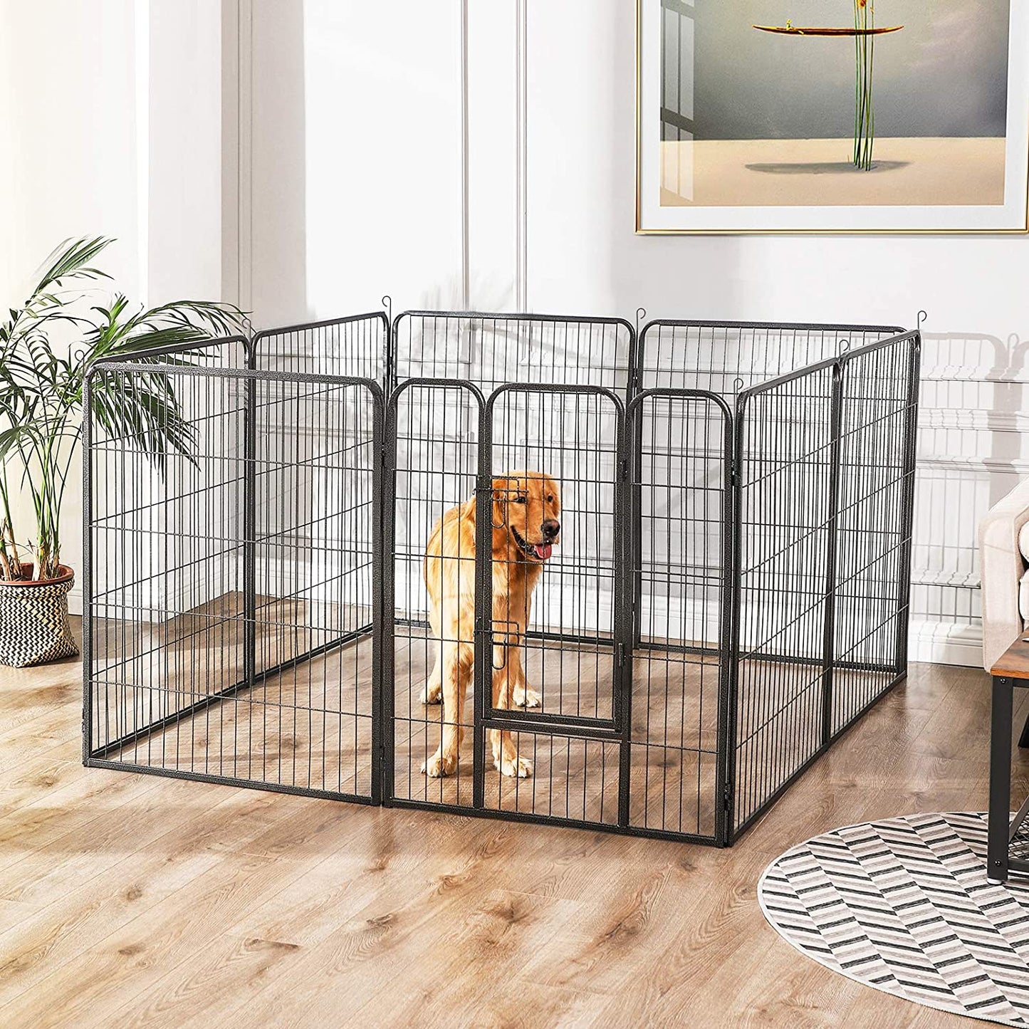 Canile da Esterno, Gabbia, Protezione, Recinzione per Cani, Feandrea