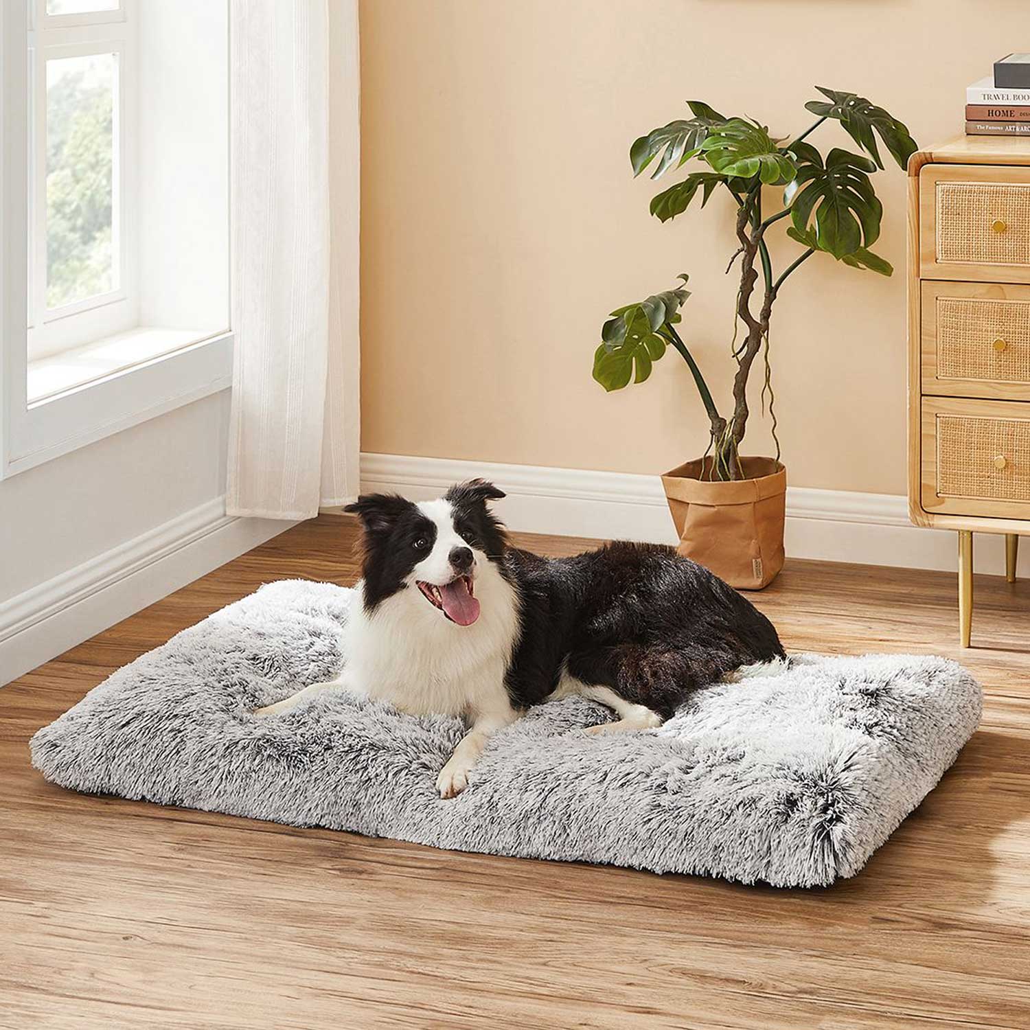 Cuscino per cani, Tappetino per cani, Peluche lungo, Imbottitura morbida, Lavabile in lavatrice, Feandrea