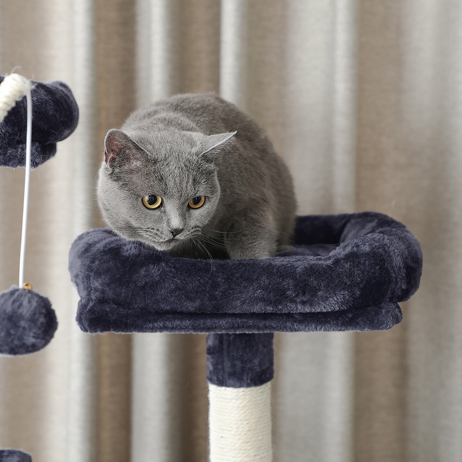 Tiragraffi per gatti,  Tiragraffi gatto, XXL Posatoio, 164 cm, Tiragraffi, grigio fumo, Feandrea, 1