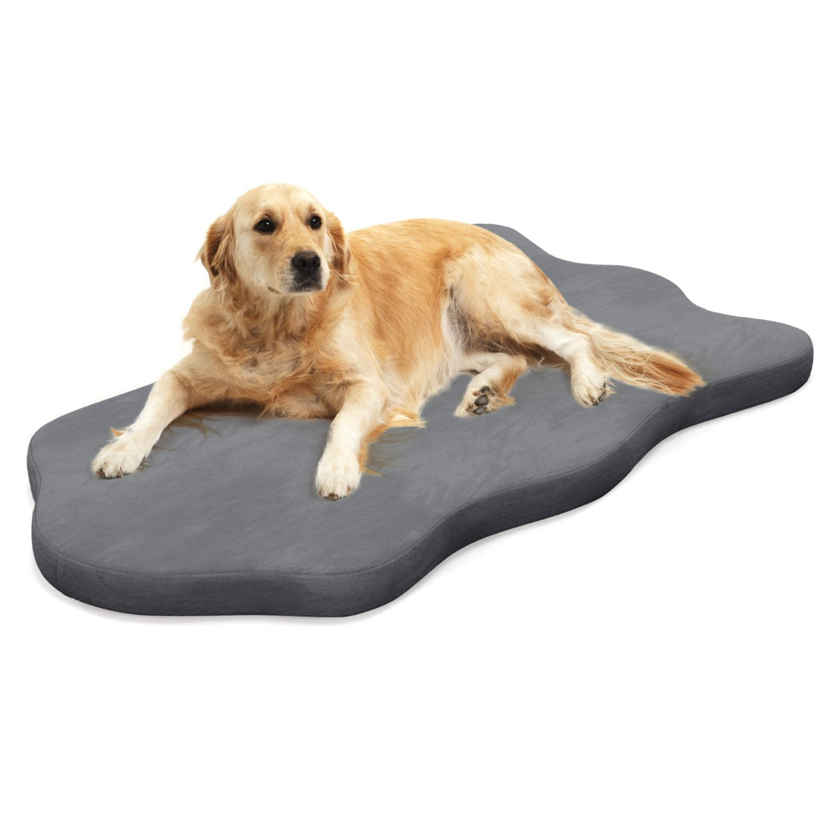 Cuscino per cani, Cuscino cane, impermeabile, con supporto in memory foam copertura rimovibile, Grigio, Costway, 1